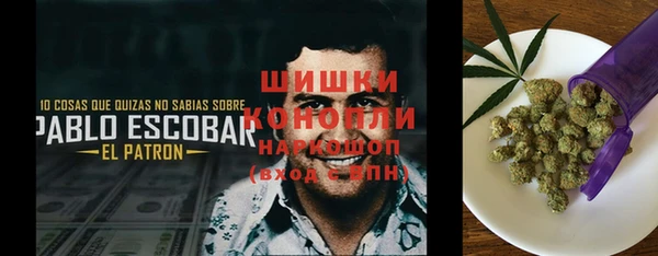 спайс Алексин