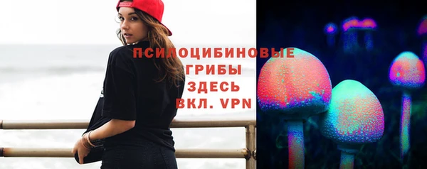 стаф Алексеевка
